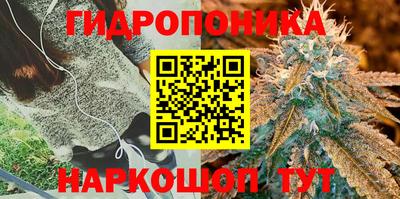 мдма Свободный