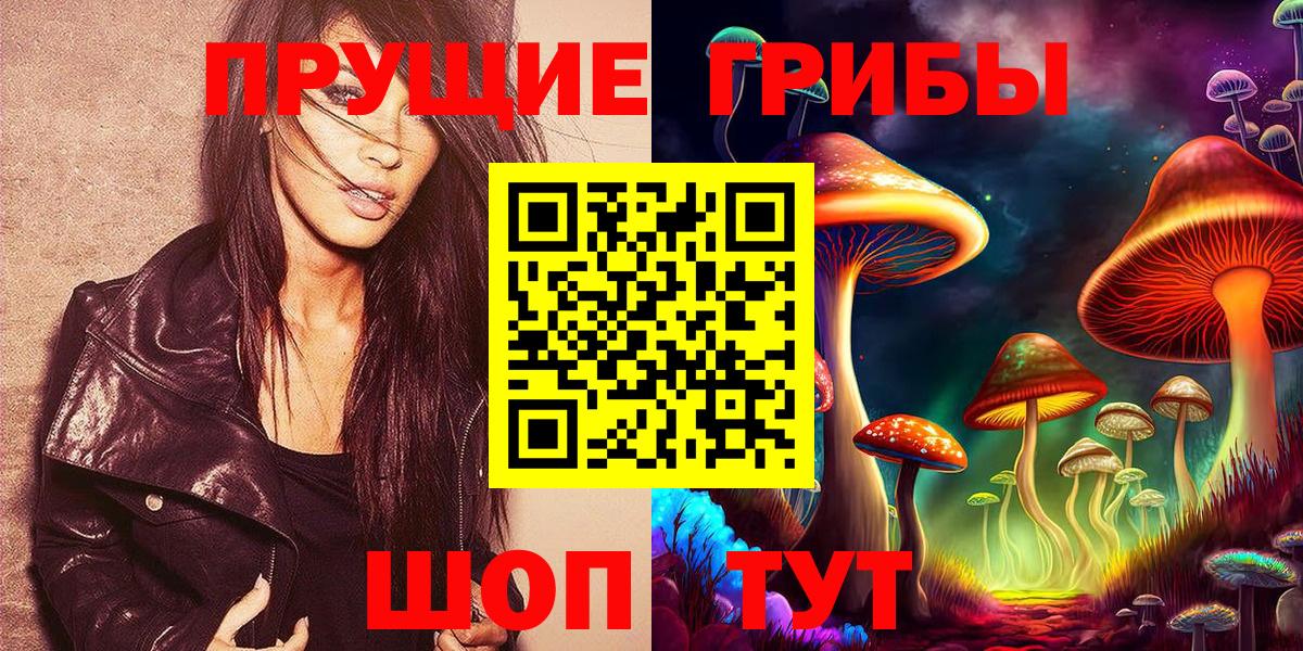 Псилоцибиновые грибы GOLDEN TEACHER  Вход с VPN  Пушкино  Псилоцибиновые грибы Psilocybine cubensis 