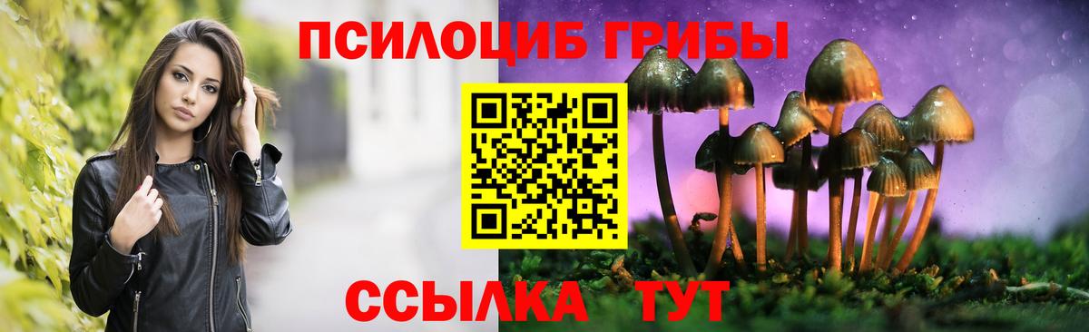 Псилоцибиновые грибы ЛСД Пушкино